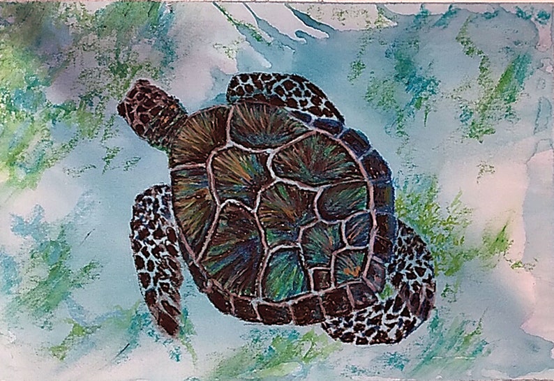 Sea Turtle Painting Sea Life Original Art Landscape Oil Pastel Etsy