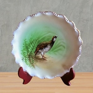 Hand Painted Limoges Quail Game Bird Plate, 9” Plate, Collectible Porcelain Dish, French Decor