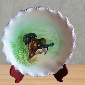 Hand Painted Limoges Turkey Game Bird Plate, 9” Plate, Collectible Porcelain Dish, French Decor, Imperfections