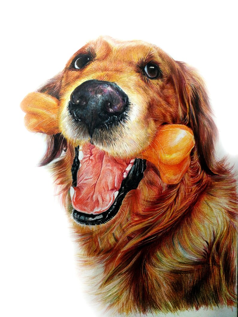 Custom Pet Portrait Painting Funny Dog Colored Pencils Drawing Memorial Artwork