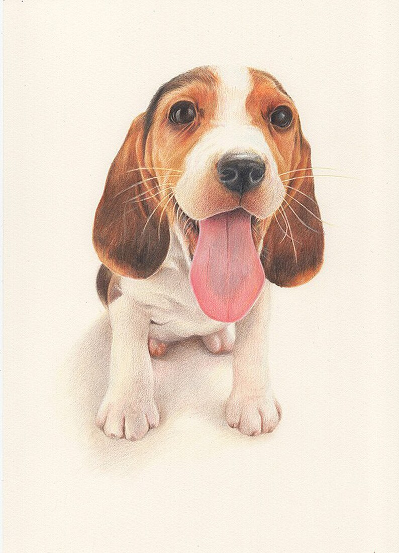 Custom Pet Portrait Painting Funny Dog Colored Pencils Drawing Memorial Artwork