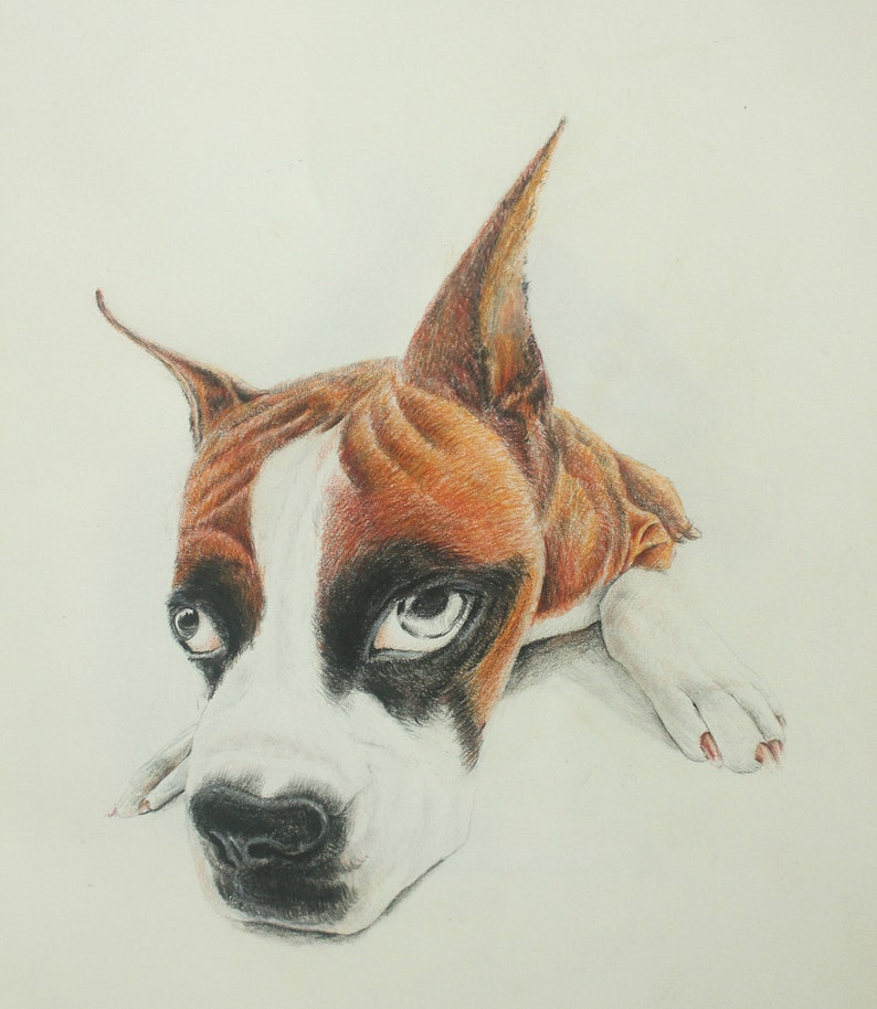 Custom Pet Portrait Painting Funny Dog Colored Pencils Drawing Memorial Artwork
