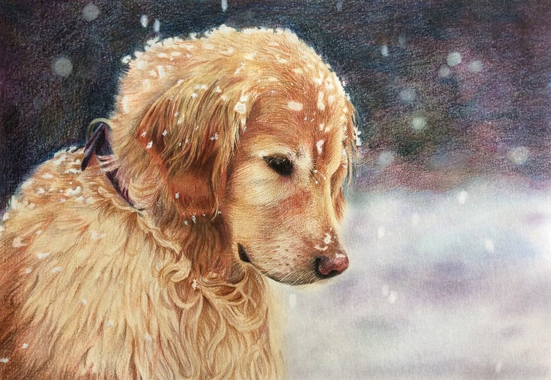 Custom Pet Portrait Painting Funny Dog Colored Pencils Drawing Memorial Artwork