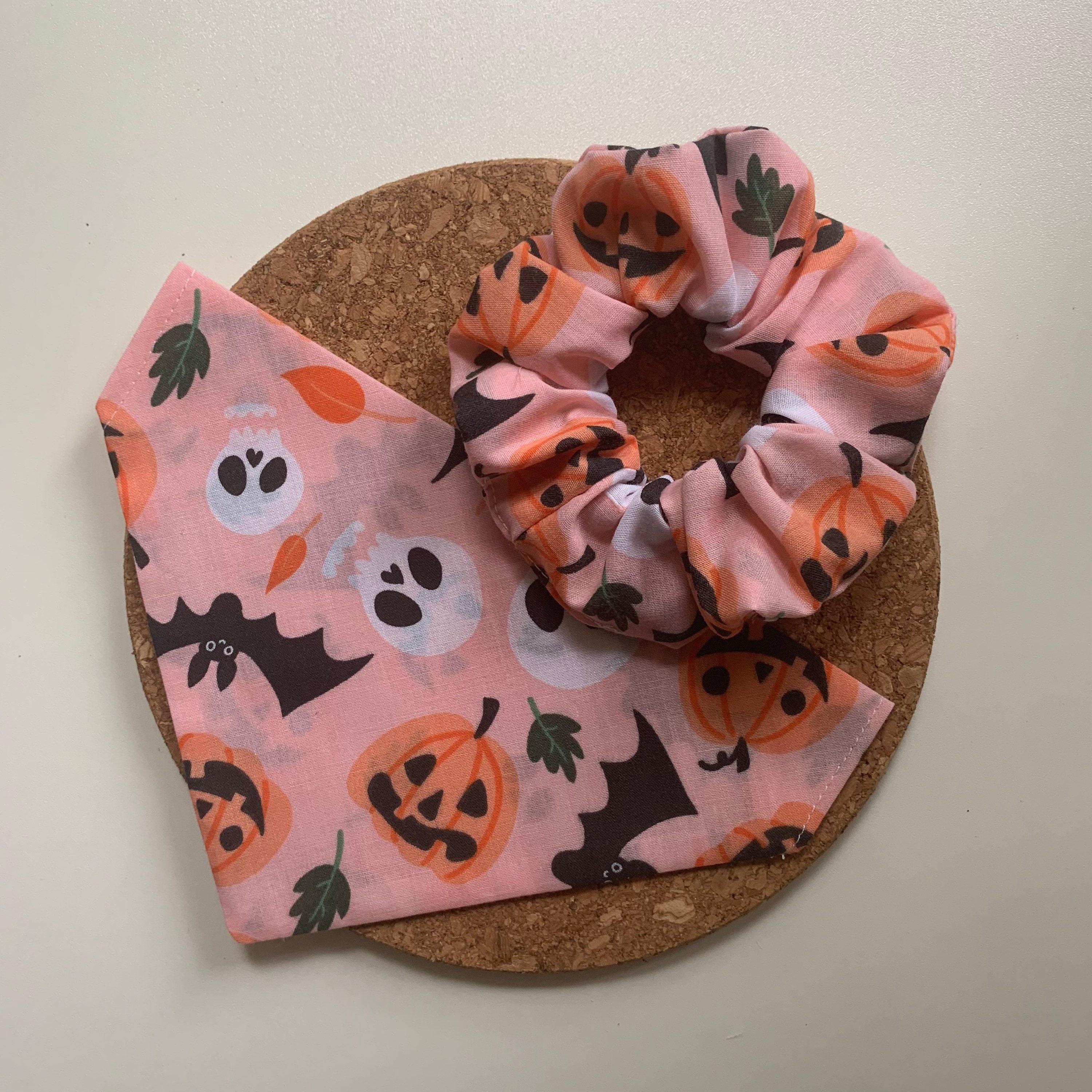 dog bandana and scrunchie set