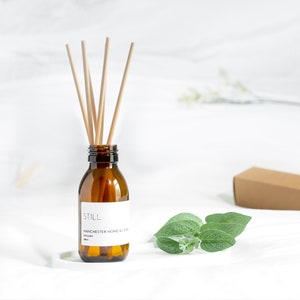 Eukalyptus Schilf Diffusor - Büro Dekor - Minimalistisches Wohndekor - Schreibtisch Dekor - Raum Diffusor - Yoga Geschenke für Männer - Neues Zuhause Geschenk für Frauen