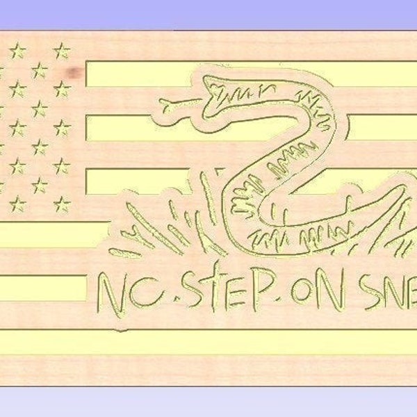 No Step On Snek American Flag