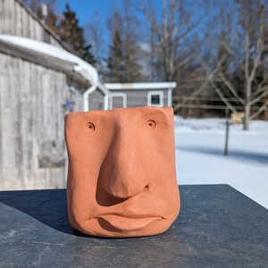 May include: A terracotta planter shaped like a face with a large nose and a slightly open mouth. The planter is a light orange color and has a textured surface.