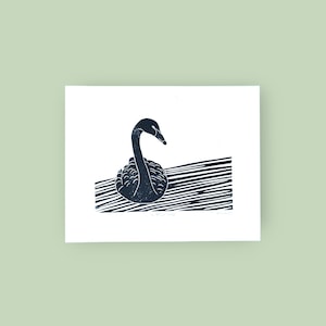 Cygne noir gravé sur linogravure à la main