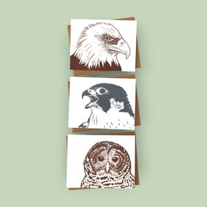 Handprinted linocut birds of prey cards - set of 6