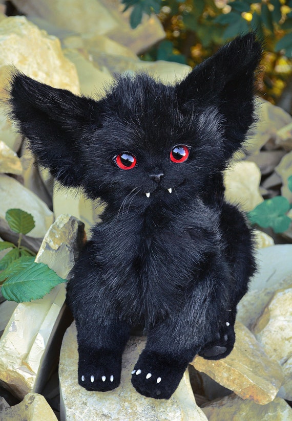 black vampire cat