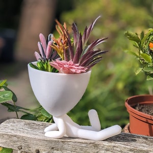 May include: A white ceramic planter shaped like a person with outstretched arms and legs, holding a variety of pink, orange, and green succulents.