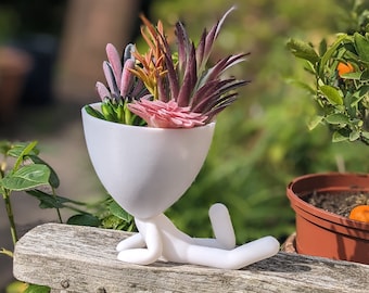 May include: A white ceramic planter shaped like a person with outstretched arms and legs, holding a variety of pink, orange, and green succulents.