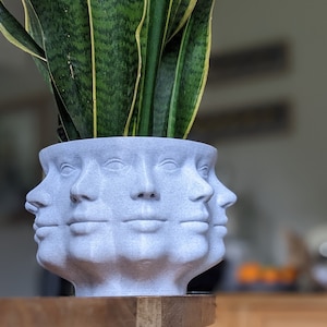 Poly Face Planter - Multi Head Planter with 10 Eyes
