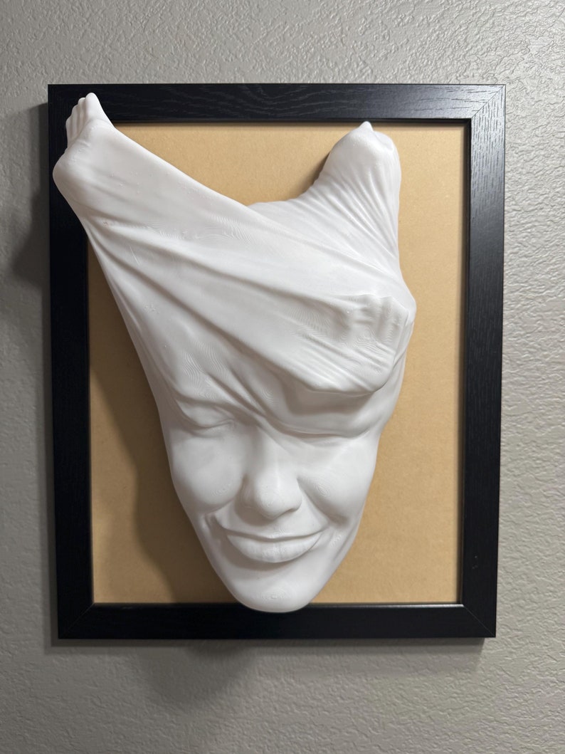 May include: A white plaster sculpture of a face with a white cloth draped over the head. The sculpture is framed in a black frame and mounted on a beige background.