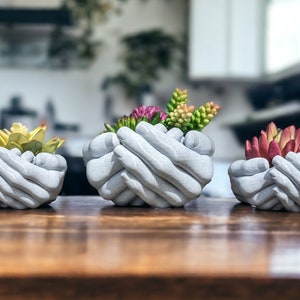 Pode incluir: Três vasos de concreto cinza em forma de mãos segurando pequenas suculentas. Os vasos estão dispostos em uma fileira sobre uma superfície de madeira.