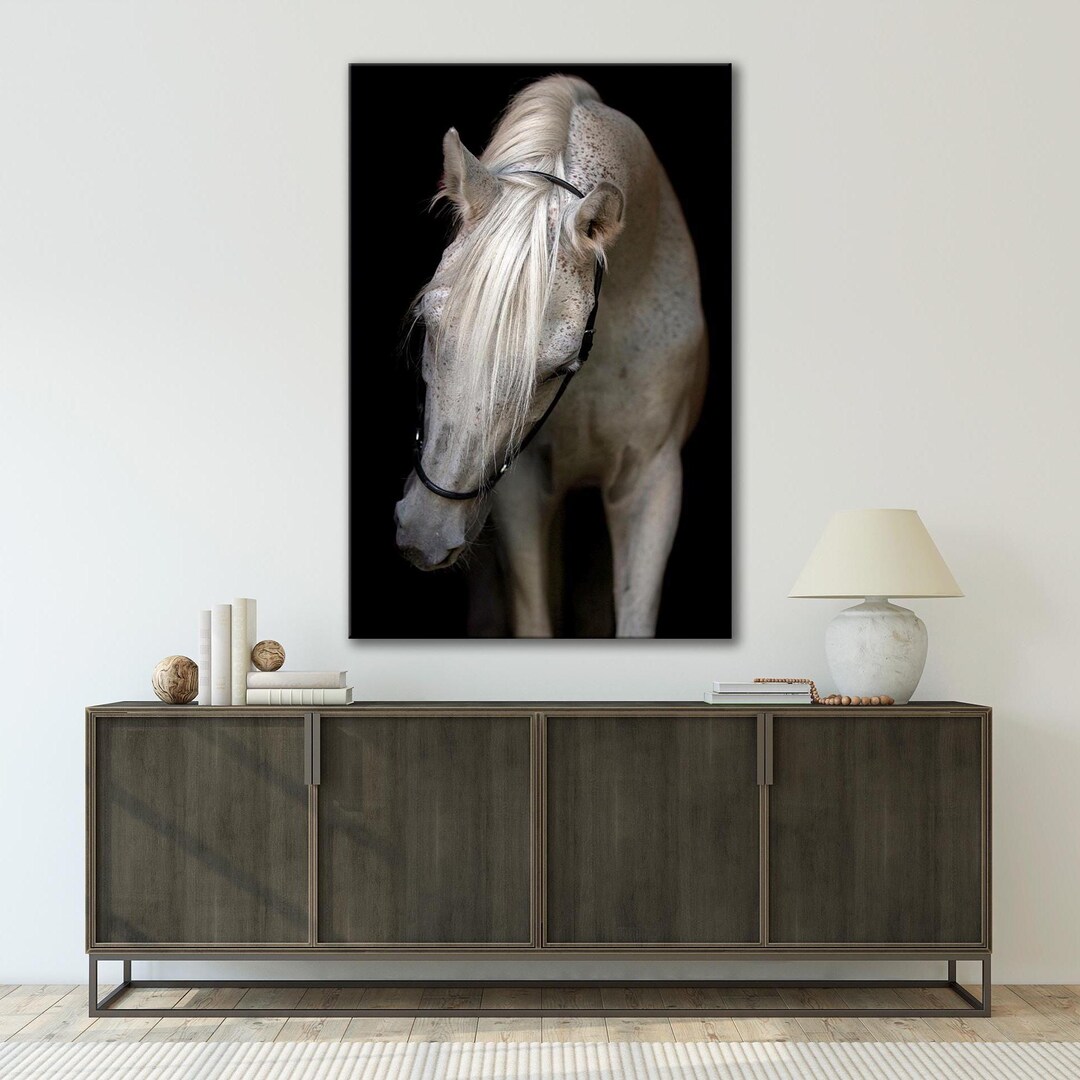 White Horse Wall Art Farmhouse Canvas Decor Horse Print Canvas Rustic ...