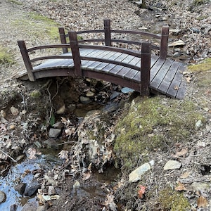 May include: A wooden bridge with railings spans a small stream in a wooded area. The bridge is made of dark brown wood and has a slight curve. The stream is shallow and has a few rocks in it. The ground around the stream is covered in leaves and moss.