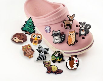 Forest animals fox hedgehog raccoon crocs pin autumn owl squirrel pin for shoes for Easter Santa Claus Advent calendar Christmas