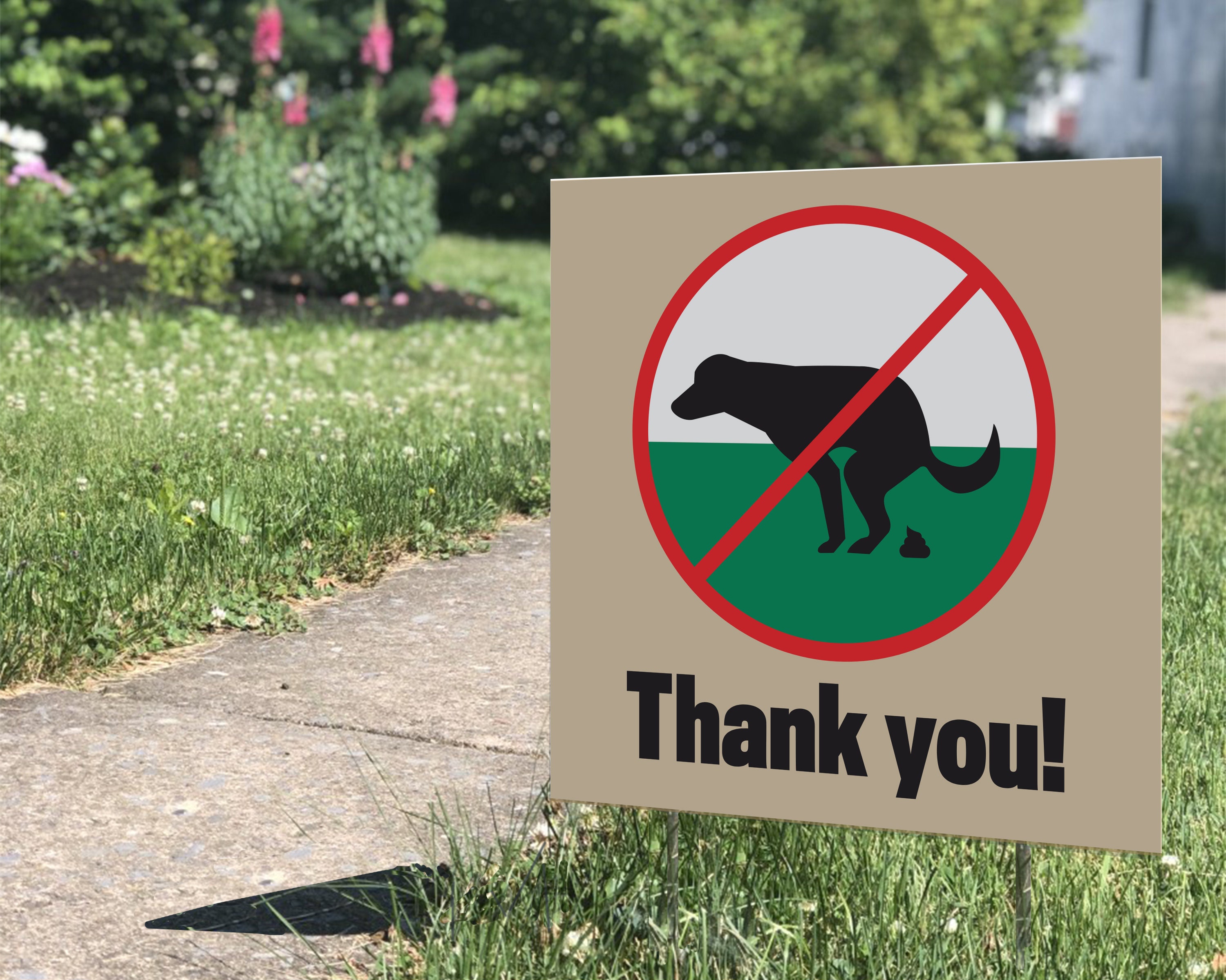 How To Stop Dogs From Pooping On My Yard