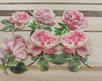 Anna Griffin Pink Roses