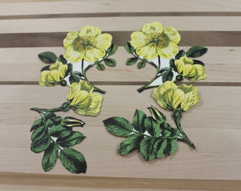 Anna Griffin Yellow Wild Roses
