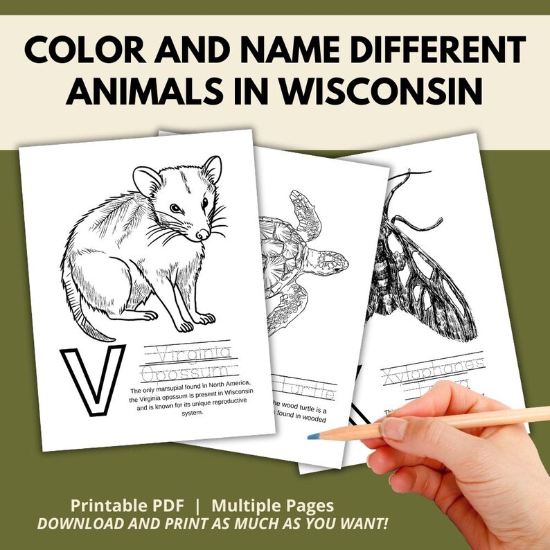 Wisconsin ABC Coloring Book: A Printable ABC Learning Activity Book All ...