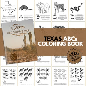Texas ABCs Coloring Book: A Printable ABC Learning and Coloring Kids Activity Book All about Texas | Texas Gifts | Texas Books | Texas Facts