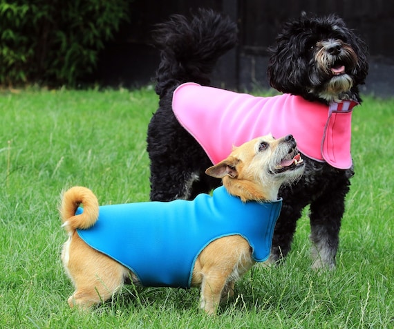 keepcool dog coats
