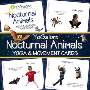 Nachtdieren yoga- en bewegingsposekaarten
