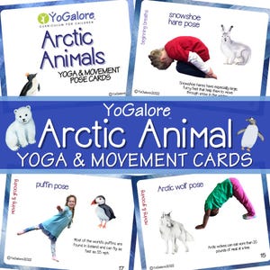 Arctic Animal-yogaposekaarten voor kinderen | Mindful-bewegingsspel, hersenkrakers en rusthoek afdrukbaar