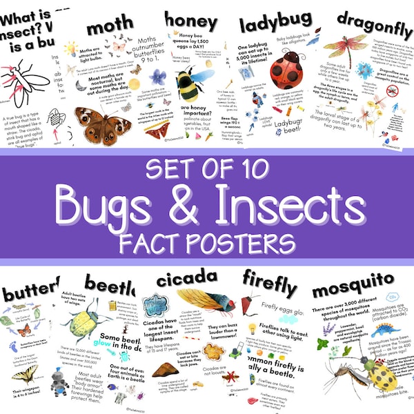 Fun Insect Facts: Posters and Cards with Bug/Insect Fun Facts