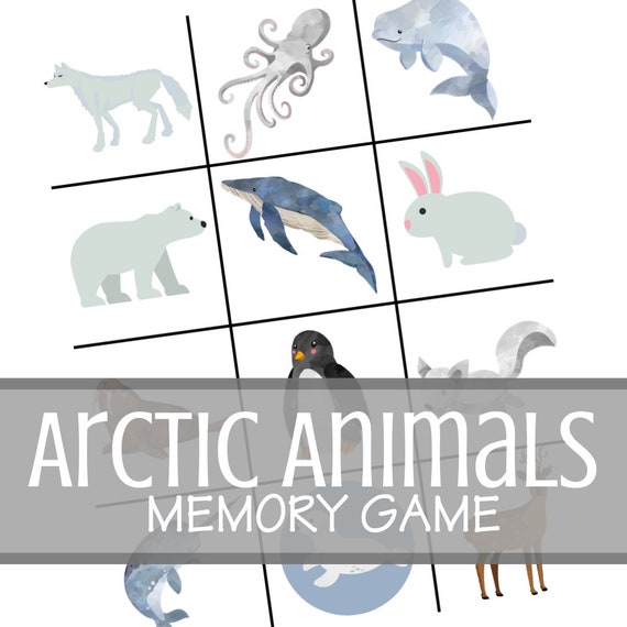 Arctic Animal Theme Memory Game