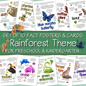 Faszinierende Regenwald-Fakten Poster und Karten - druckbare Tiere und Pflanzen, naturwissenschaftliche Aktivitäten für Kinder