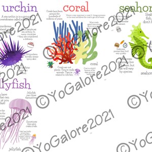 Ocean Life Fact Posters and Cards - Etsy