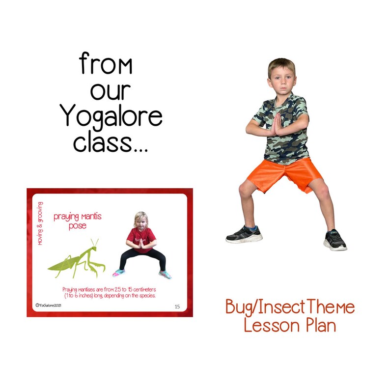 Bug/insect Theme Yoga & Movement Pose Cards With Lesson Plan Etsy