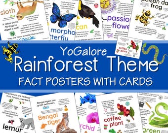 Feiten over het regenwoud: set van 10 posters