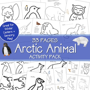 May include: An Arctic Animal Activity Pack with 33 pages. The image features illustrations of arctic animals like penguins, polar bears, and narwhals. Text includes "Great for Winter Centers + Sensory Play!" and "Arctic Animal Activity Pack".