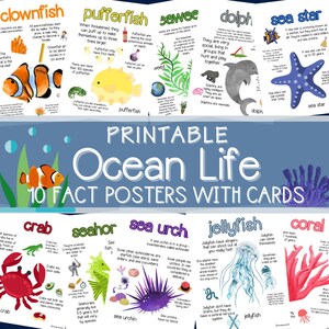Pósteres y tarjetas con datos sobre la vida en el océano