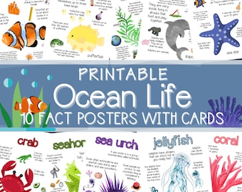 Carteles y tarjetas sobre la vida oceánica