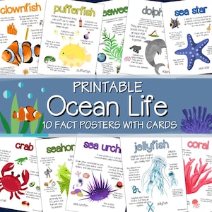 Pósteres y tarjetas con datos sobre la vida marina, datos imprimibles sobre animales marinos para niños, decoración científica para preescolar y jardín de infantes.