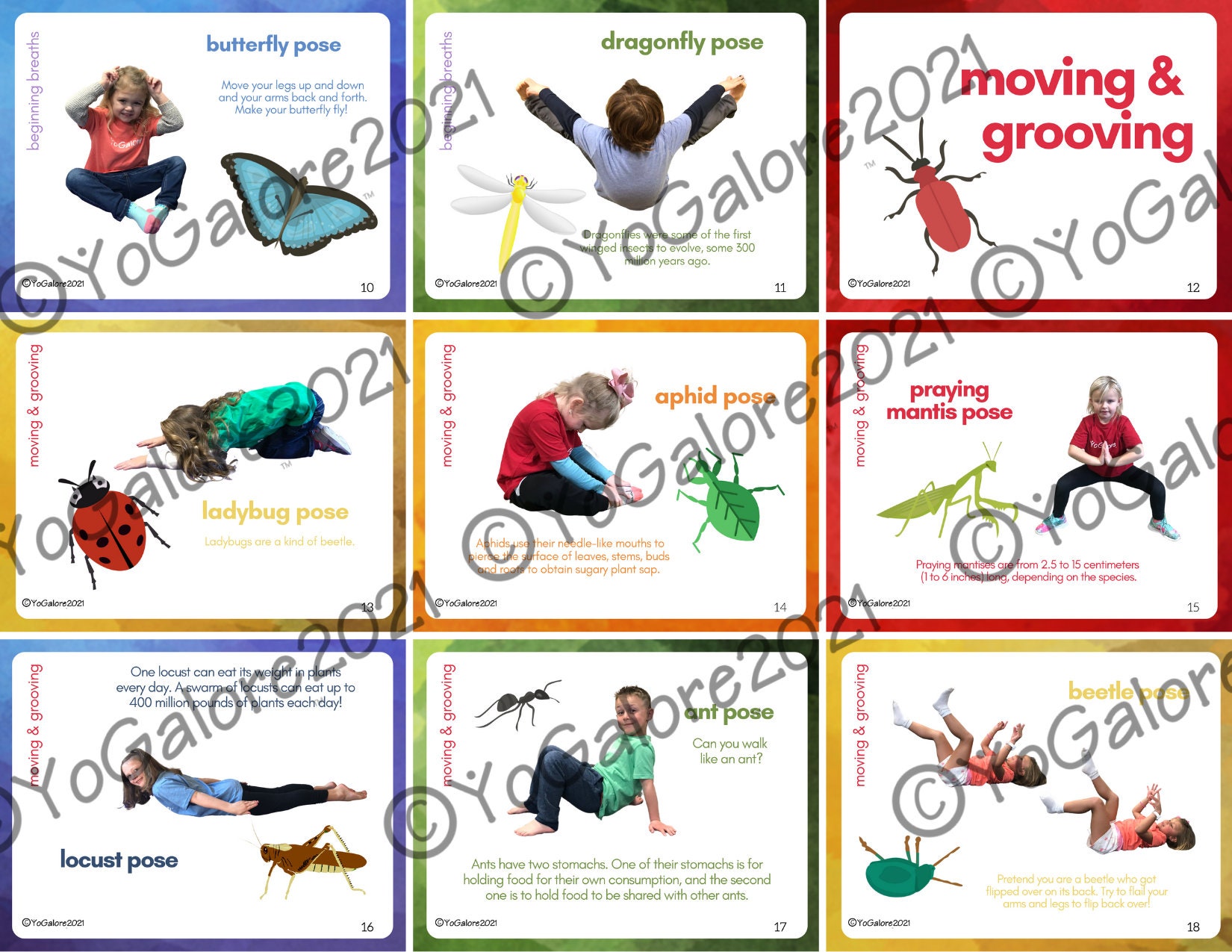 Bug/Insect Theme Yoga & Movement Pose Cards with Lesson Plan Etsy