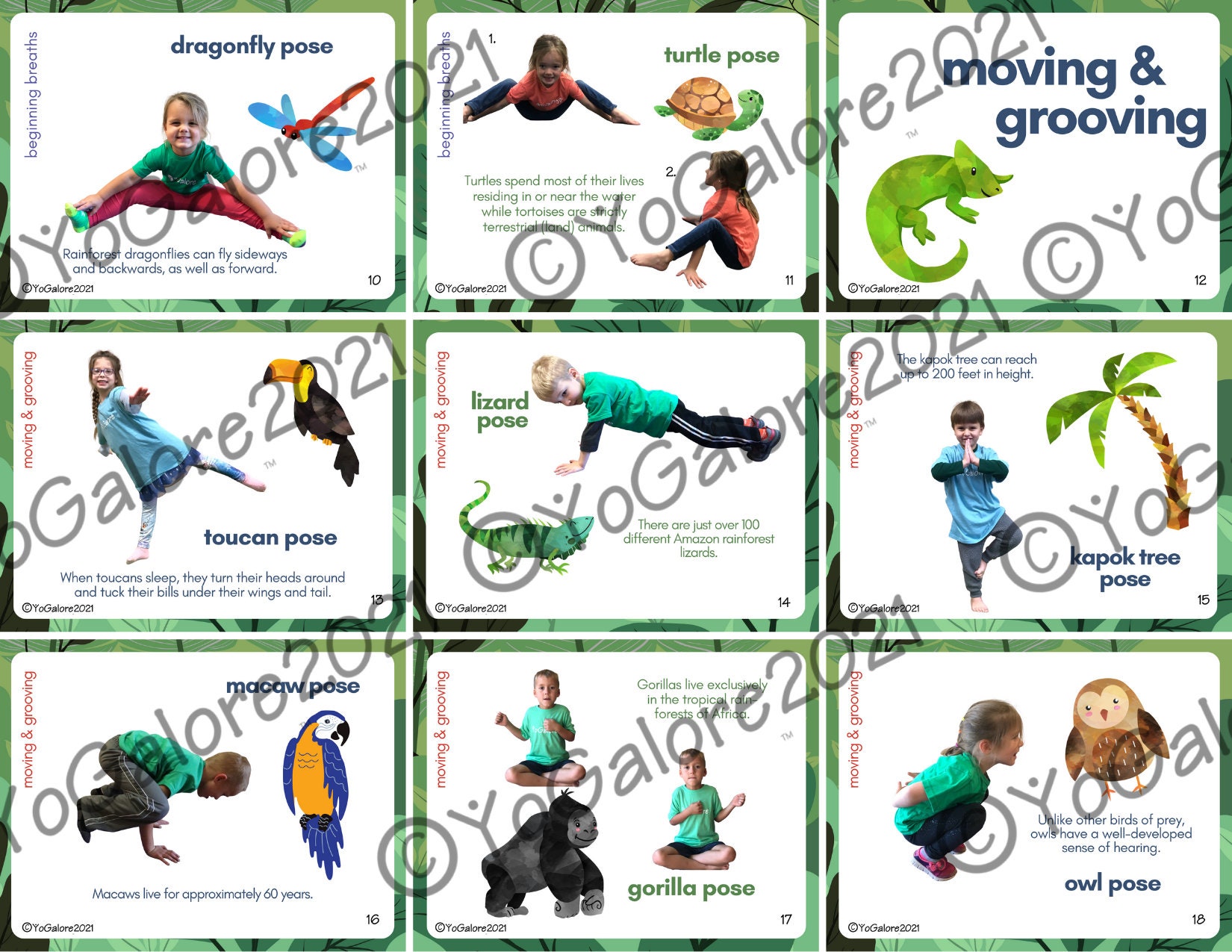 Rainforest Animals Yoga &amp; Movement Pose Cards - Etsy España