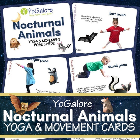 Nocturnal Animals Yoga & Movement Pose Cards - Etsy Nocturnal Animals Yoga & Movement Pose Cards - Etsy