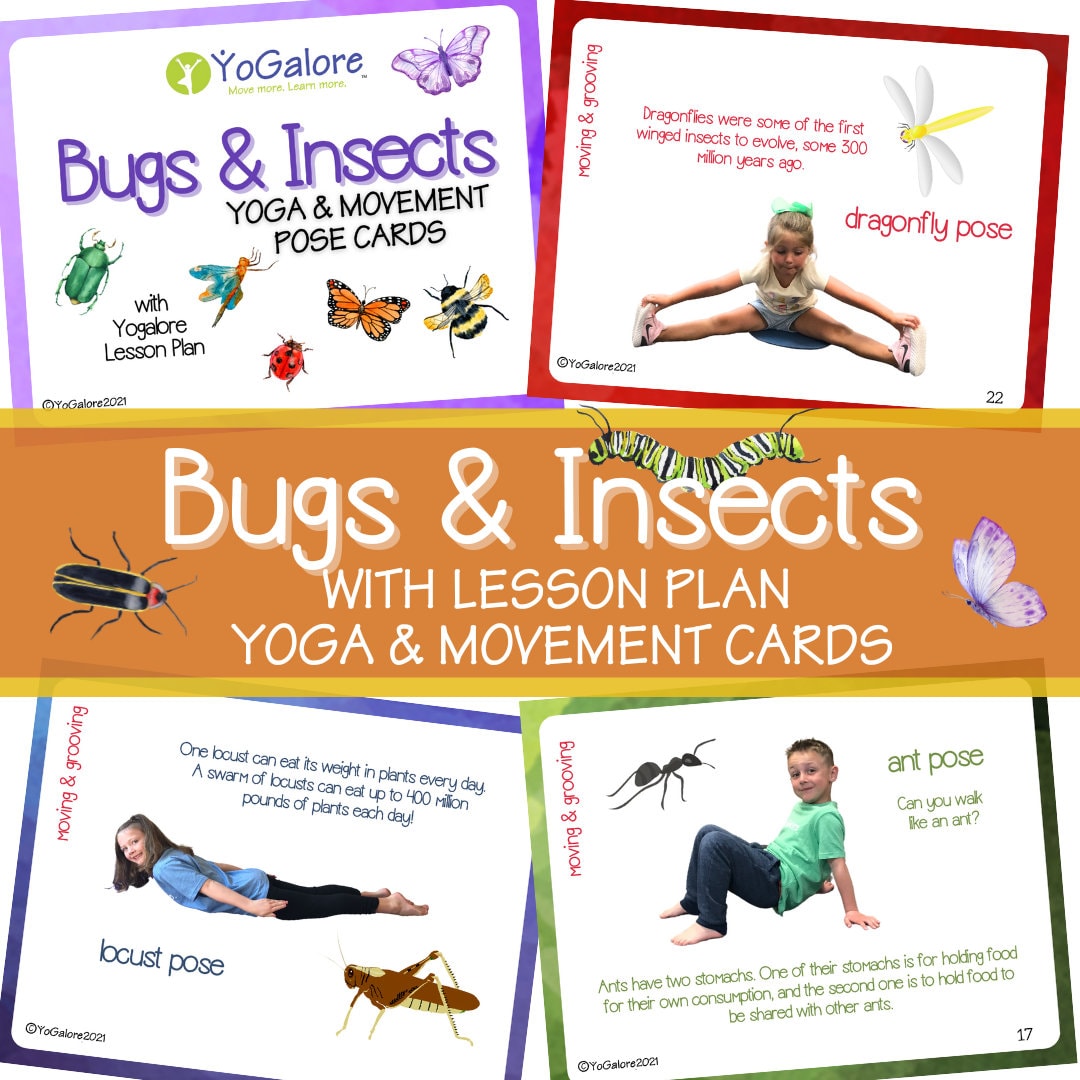 bug-insect-theme-yoga-movement-pose-cards-with-lesson-plan-etsy