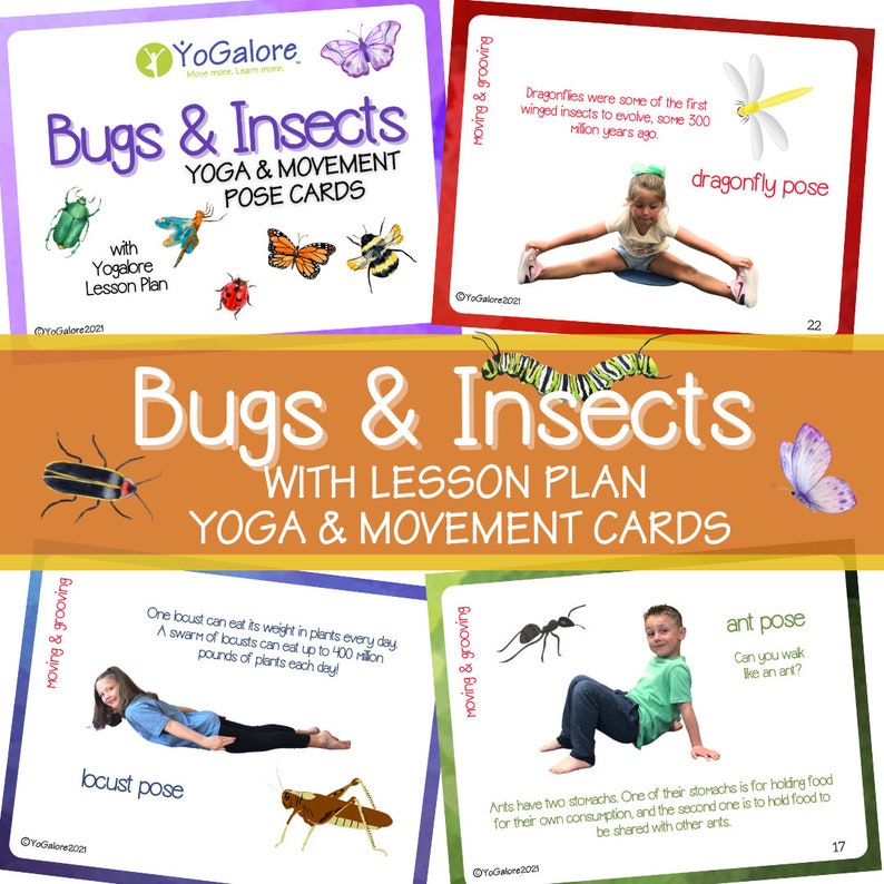 Bug/insect Theme Yoga & Movement Pose Cards With Lesson Plan Etsy