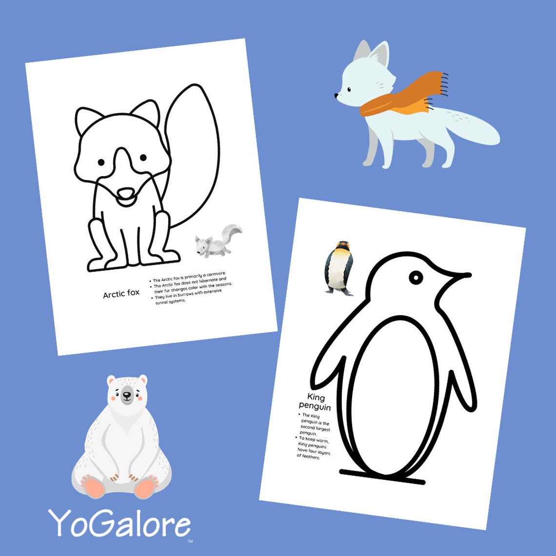Arctic Animal Printables With Fun Facts - Etsy
