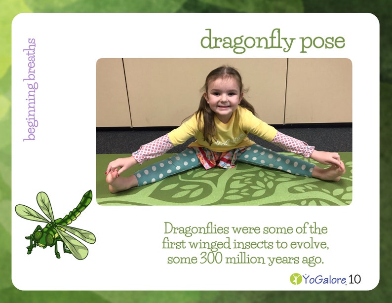 Bug/Insect Theme Yoga & Movement Pose Cards with Lesson Plan Etsy