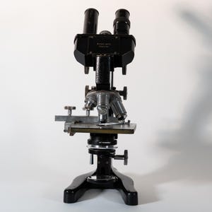 1937-38 Ernst Leitz Wetzlar Binocular Laboratory Microscope w/Optics & Wood Travel Case