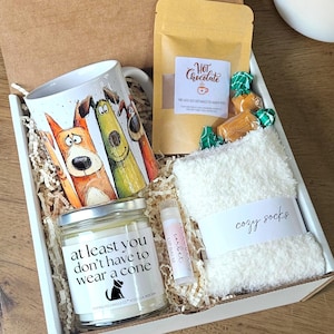 May include: A gift box containing a white ceramic mug with a colorful cartoon dog illustration, a pouch of hot chocolate mix, two wrapped caramels, a pair of white fuzzy socks, a lip balm, and a glass candle jar labeled At least you don't have to wear a cone.