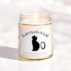 Karma Is A Cat, Me and Karma Vibe Like That, Midnights Album Inspired Candle, Cat Lover Candle Gift, Swiftie Candle Gift